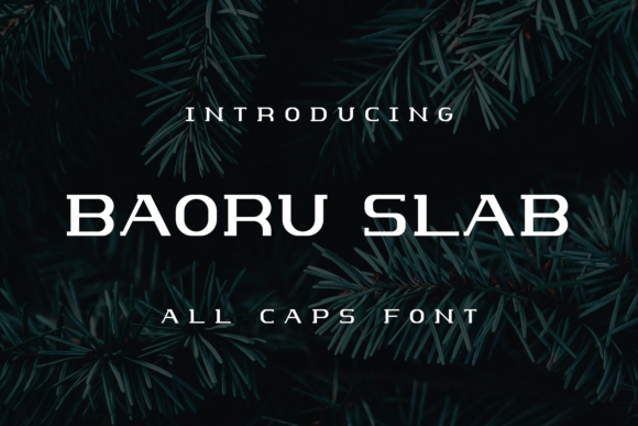 Baoru Slab: The Modern Serif for Bold Design