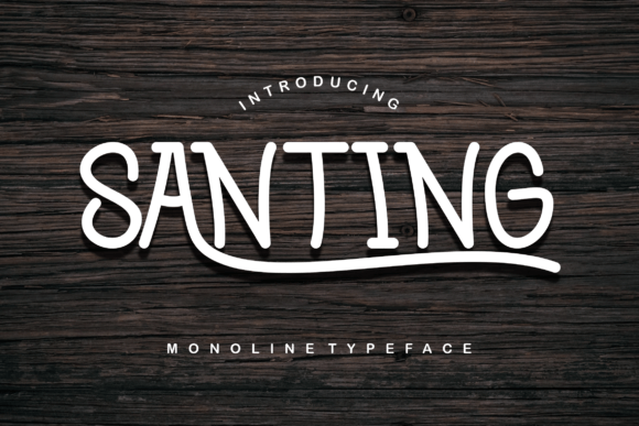 Santing Font: Elegant Slab Serif for Makers